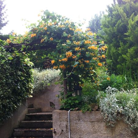 Ma Demeure Apartman Le Gue-de-Longroi Kültér fotó